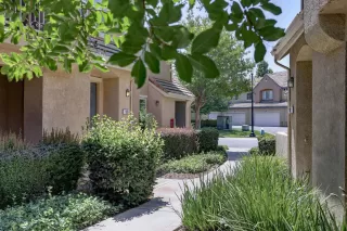 Photo #1: 225068138 Listing 