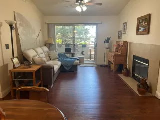 Photo #1: 225068511 Listing 