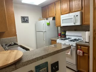 Photo #6: 225068511 Listing 