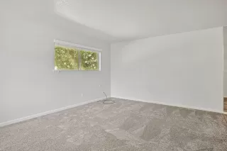 Photo #5: 225069126 Listing 