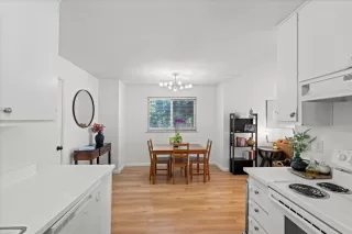 Photo #3: 225069779 Listing