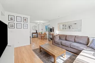 Photo #6: 225069779 Listing