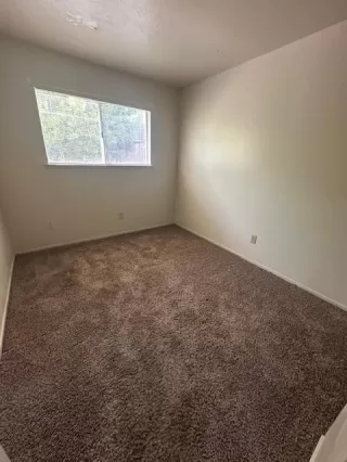 Photo #5: 225070995 Listing 