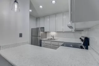 Photo #5: 225071590 Listing