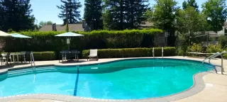 Photo #1: 225072213 Listing