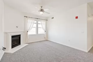 Photo #3: 225072920 Listing 