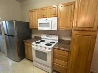 Photo #1: 225073096 Listing