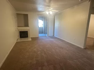 Photo #3: 225073096 Listing