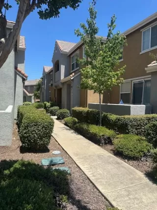 Photo #1: 225073167 Listing