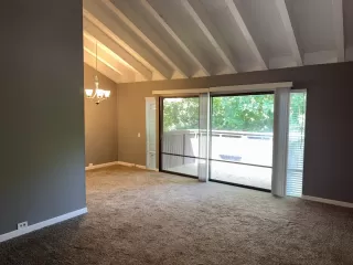 Photo #3: 225078092 Listing 