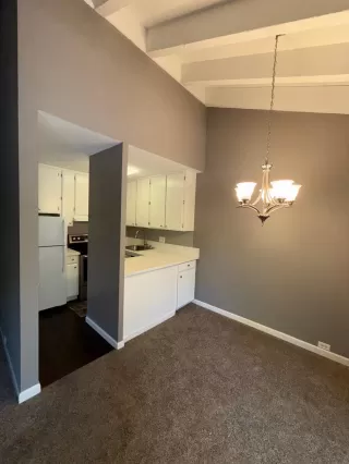 Photo #4: 225078092 Listing 