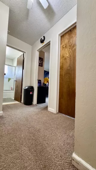 Photo #5: 225078205 Listing 