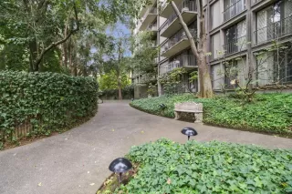 Photo #2: 225078448 Listing