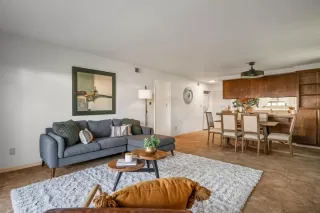 Photo #3: 225078469 Listing 