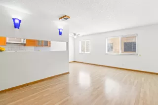 Photo #6: 225079364 Listing 