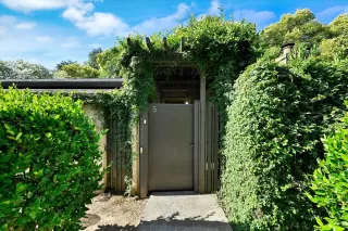 Photo #1: 225079421 Listing