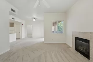 Photo #6: 225080117 Listing