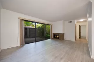 Photo #1: 225080769 Listing 