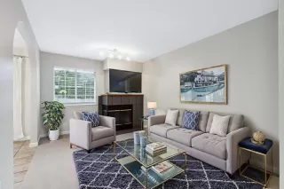 Photo #3: 225081547 Listing