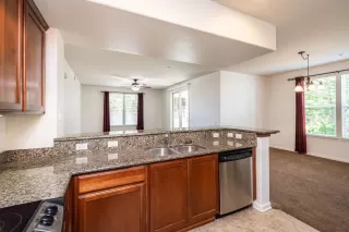 Photo #3: 225082369 Listing 