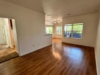 Photo #1: 225082455 Listing 