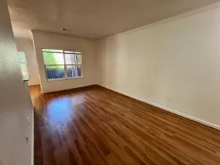 Photo #2: 225082455 Listing 