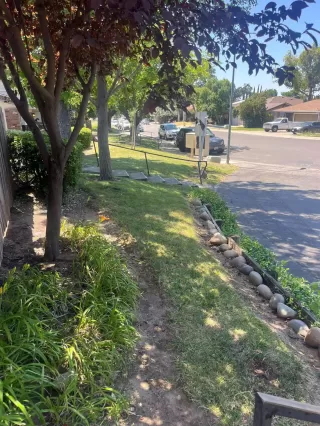 Photo #2: 225082530 Listing