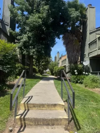 Photo #1: 225082742 Listing 