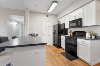 Photo #4: 225083085 Listing 