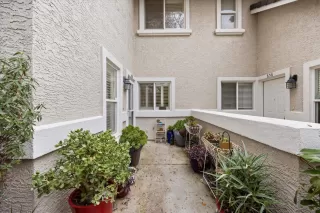 Photo #1: 225083221 Listing 