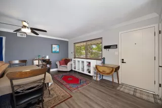 Photo #3: 225083447 Listing 