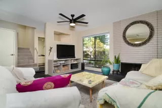 Photo #1: 225083529 Listing