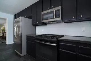 Photo #4: 225083529 Listing