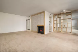 Photo #3: 225083696 Listing 