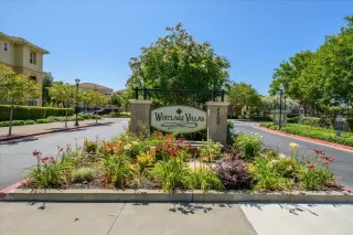 Photo #1: 225083703 Listing 