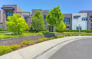 Photo #1: 225085962 Listing