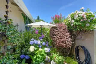 Photo #4: 225086216 Listing 