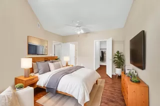 Photo #6: 225086254 Listing