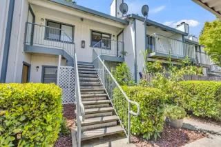 Browse active condo listings in ALTA GARDEN