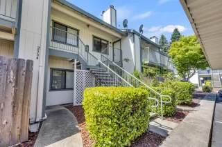 Photo #1: 225086291 Listing