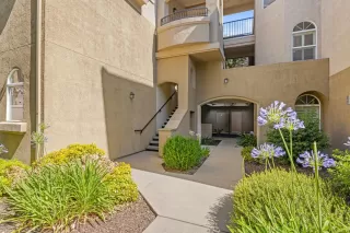 Photo #1: 225086954 Listing 