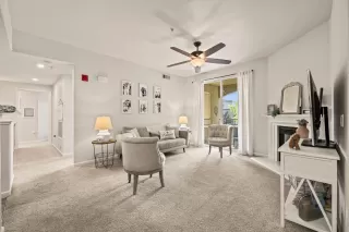 Photo #6: 225086954 Listing 