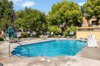 Photo #1: 225086964 Listing 