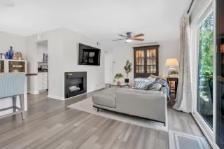 Photo #2: 225087391 Listing 