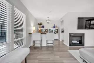 Photo #3: 225087391 Listing 