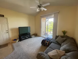 Photo #1: 225087764 Listing 