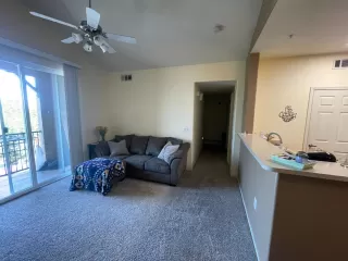 Photo #2: 225087764 Listing 