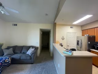 Photo #3: 225087764 Listing 