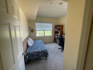 Photo #6: 225087764 Listing 