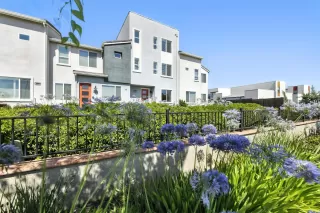 Photo #2: 225087909 Listing